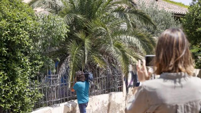 Vivienda abandonada en la que se produjeron los hechos.