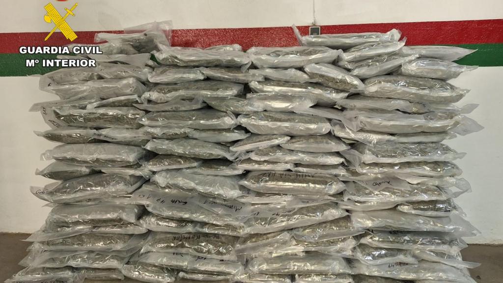 Marihuana aprehendida.