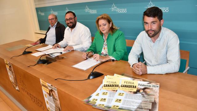Imagen de la presentación en la Diputación de Toledo.
