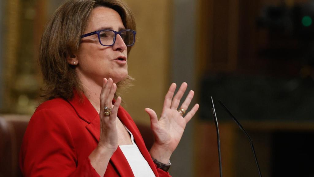 Teresa Ribera será candidata del PSOE a las elecciones europeas del 9 de junio