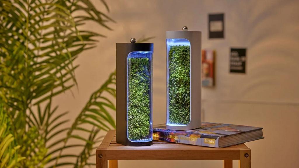 Moss Air: purificador y humidificador a base de musgo