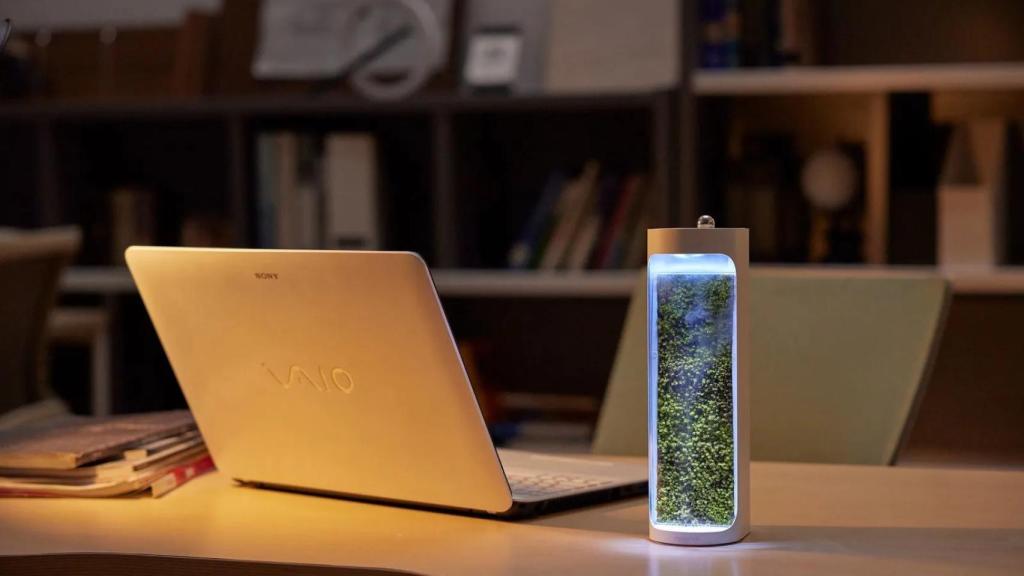 MossAir, purificador y humidificador de musgo