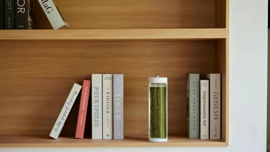 Moss Air, purificador y humidificador