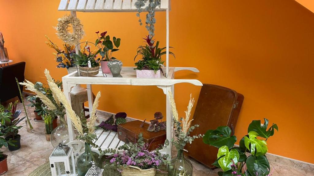 Imagen de la floristería de Alaejos