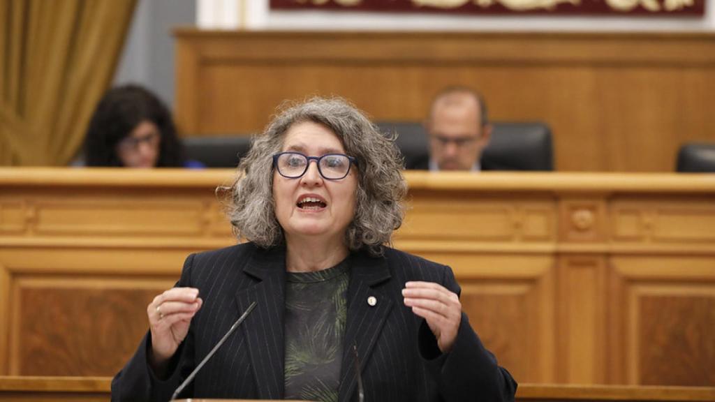 Mercedes Gómez, consejera de Desarrollo Sostenible.