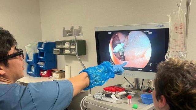 Intervención de defectos mucosos.