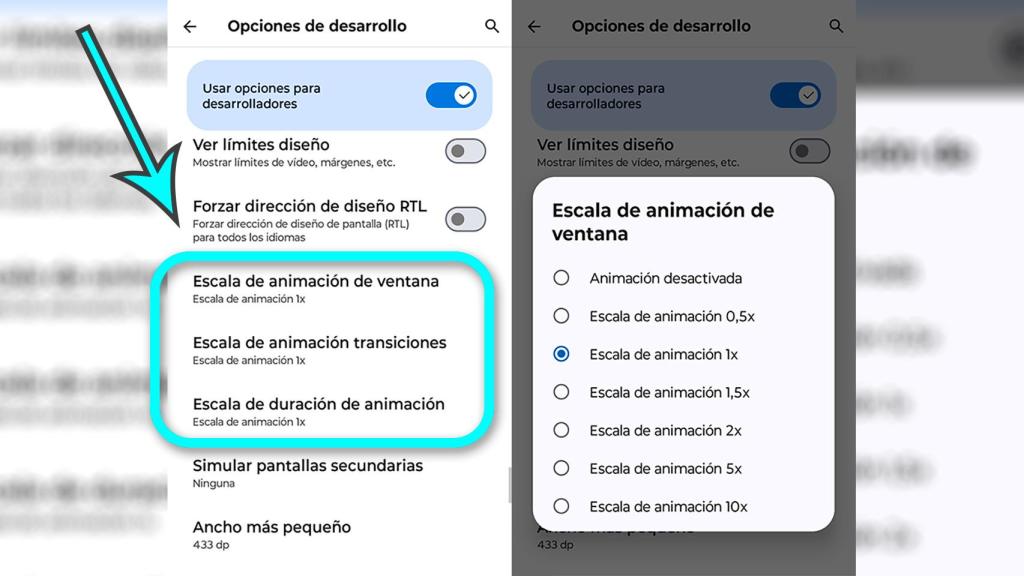 Los ajustes en el menú de desarrolladores
