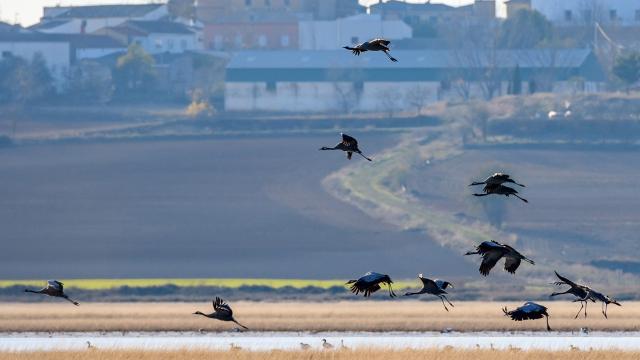 Foto Fund. Global Nature, seleccionada convocatoria medioambiental