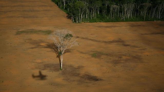 Deforestación del Amazonas, fotografía ganadora del World Press Photo 2007.