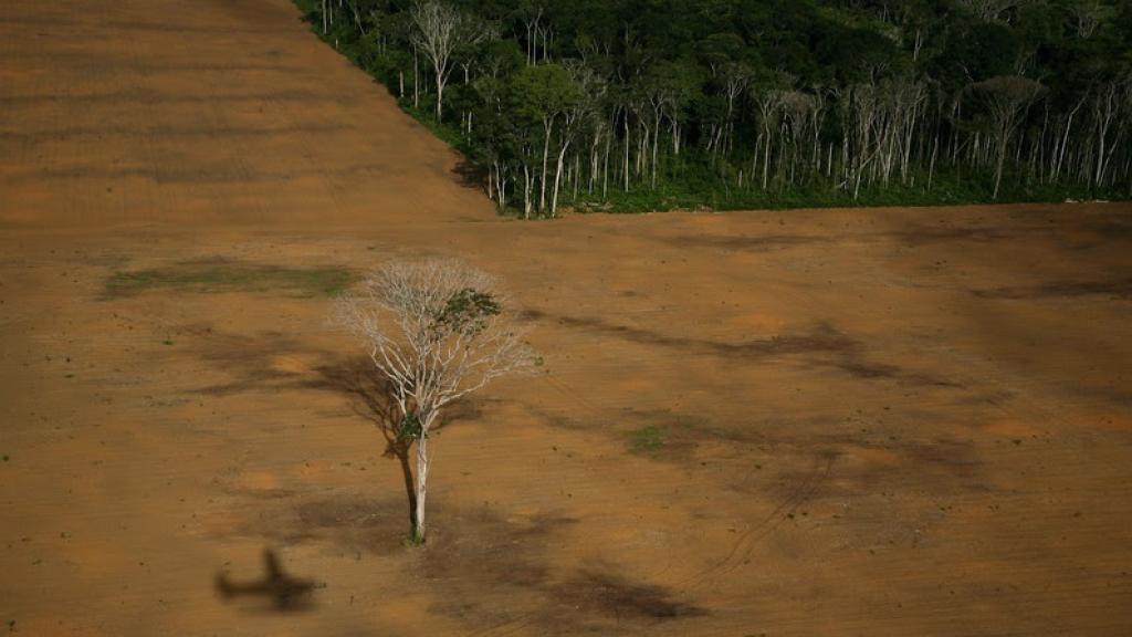 Deforestación del Amazonas, fotografía ganadora del World Press Photo 2007.