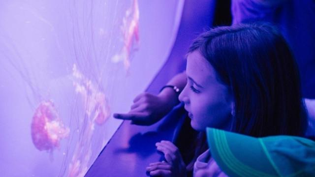 Imagen de una niña durante las celebraciones del Día del Niño celebradas en los distintos museos.