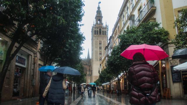 Varias personas se protegen de la lluvia frente a la Giralda.