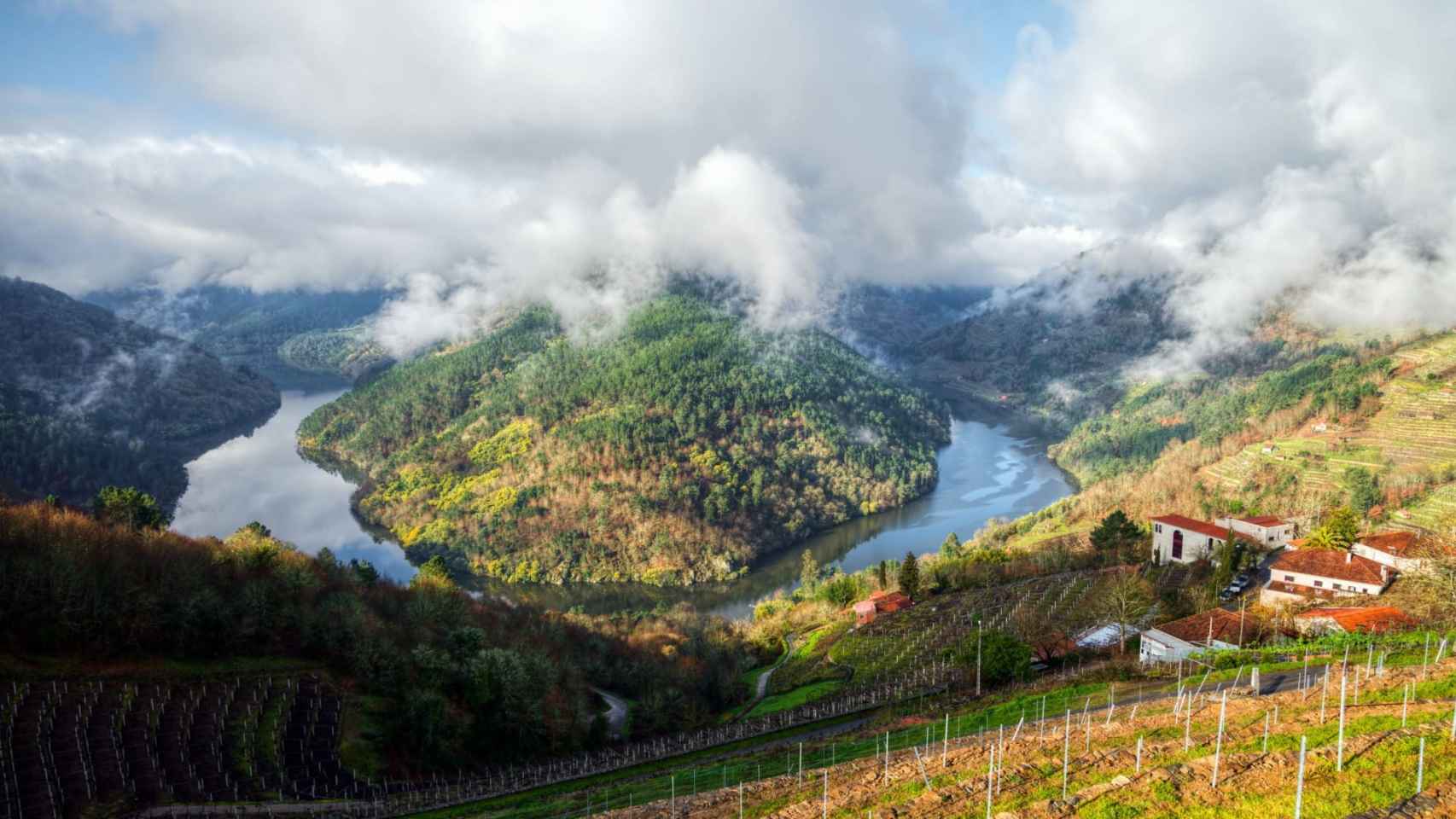 Paisaje de viñedos en la Ribeira Sacra.
