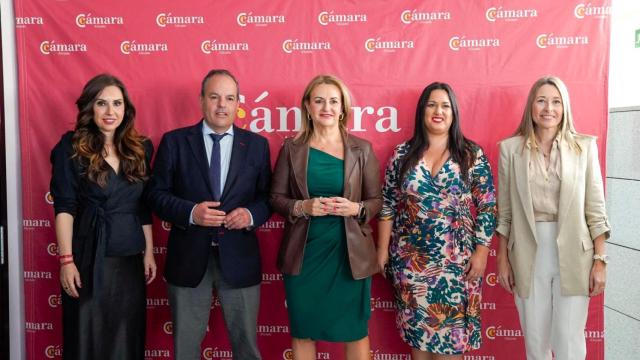 La Cámara de Alicante y la Conselleria de Comercio han presentado en Alicante el análisis del sector.