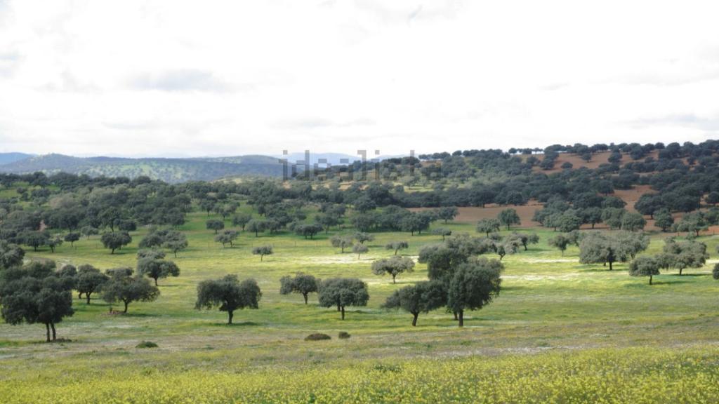 Imagen de archivo de una finca. Foto: Idealista.