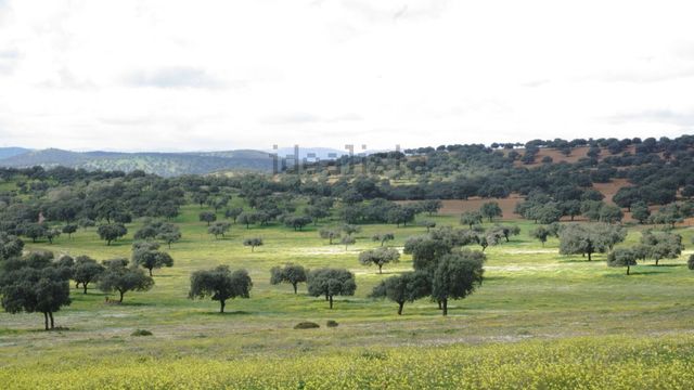 Imagen de archivo de una finca. Foto: Idealista.