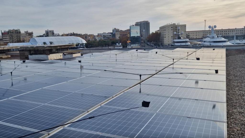 Sistema disuasorio de aves en paneles solares