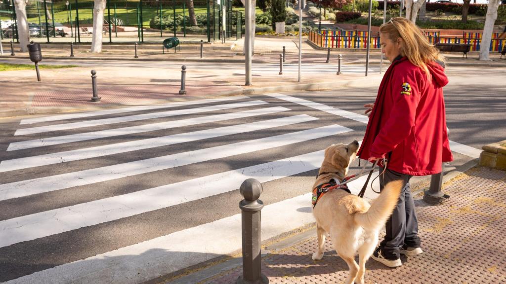 Orca observa atentamente el hombro derecho de la instructora de movilidad Pilar Legidos.