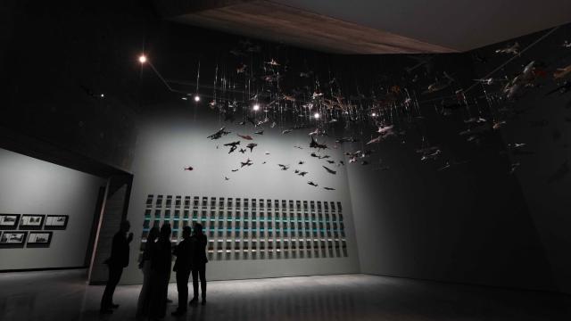 Una parte de la exposición 'Ecologías de la paz' que representa el compromiso de TBA21 Thyssen-Bornemisza Art Contemporary y el C3A con la creencia en el arte y la cultura como portadores de transformación social y ambiental (Rafa Alcaide/EFE)