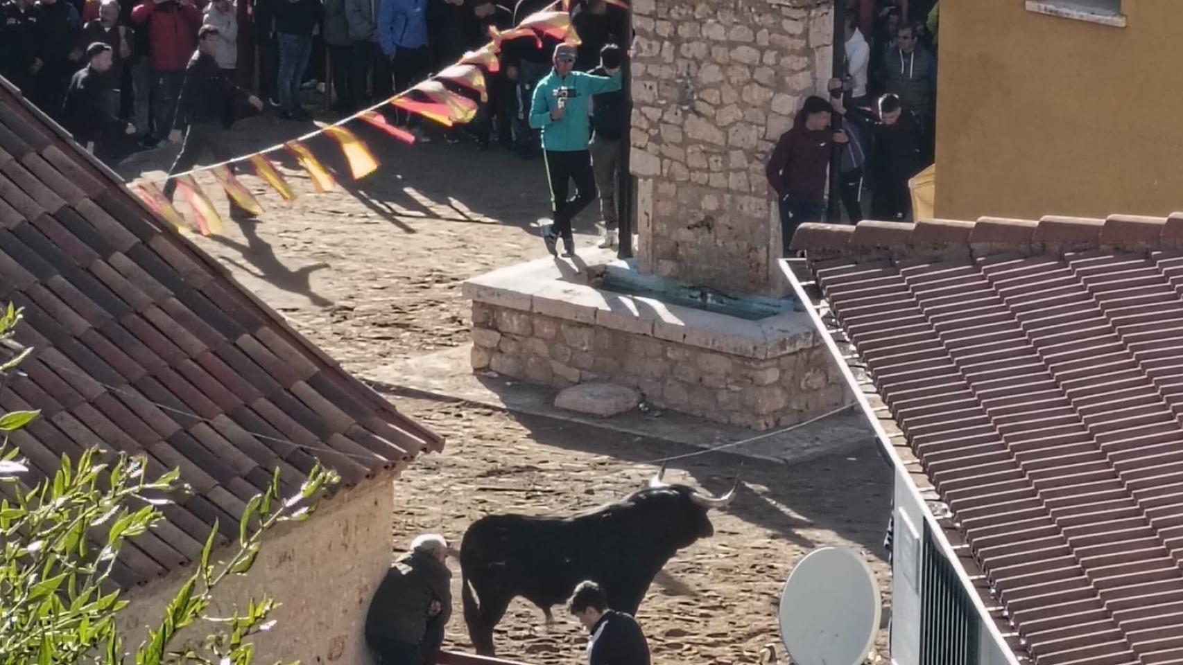 Suelta de toros en Chiloeches. Fotografía: Protección Civil.