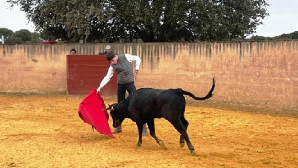 El novillero catalán Mario Vilau en un derechazo a la excelente vaca primera