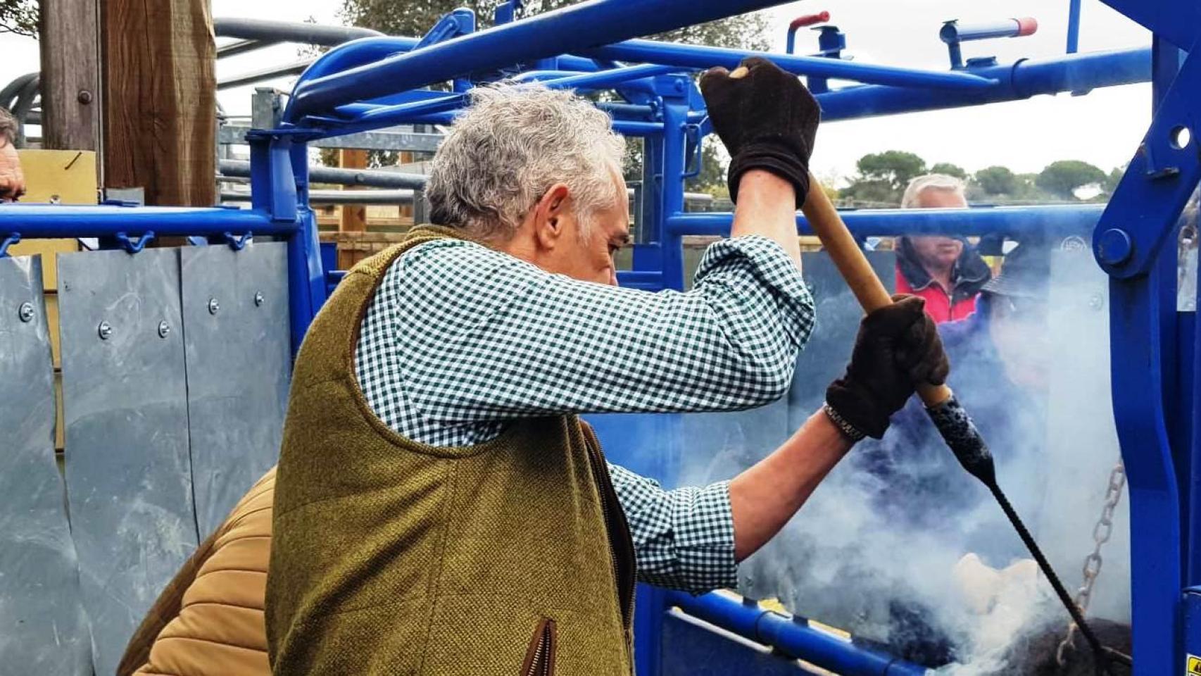 Ganadería Montebayón: toros, amigos y buen yantar en Montemayor