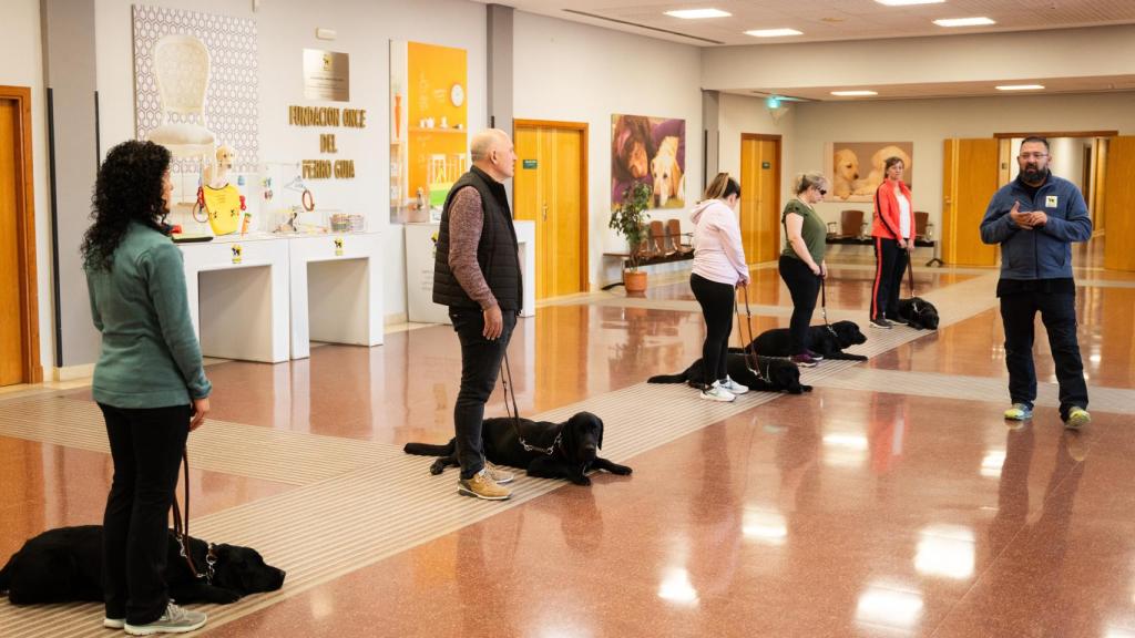 Una sesión de obediencia matutina de los usuarios en el hall de uno del bloque residencial de la FOPG.