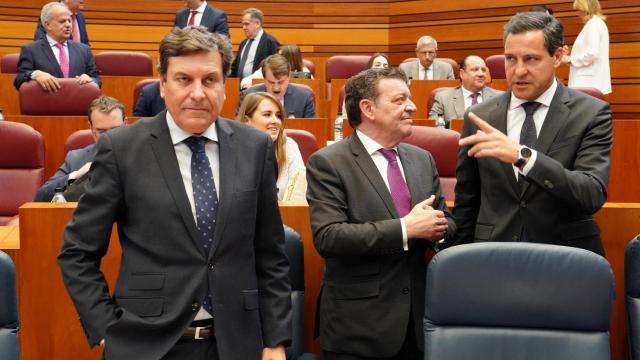 El consejero de Economía y Hacienda, Carlos Fernández Carriedo, durante el pleno de las Cortes de este lunes.