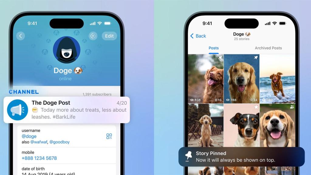 El perfil en Telegram