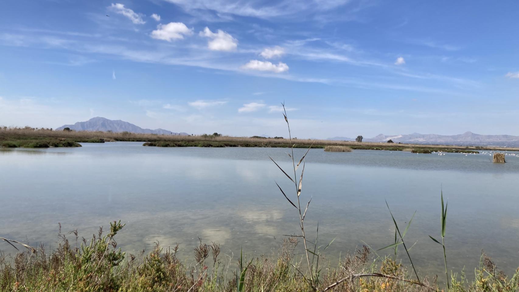 El Parque Natural del Hondo.