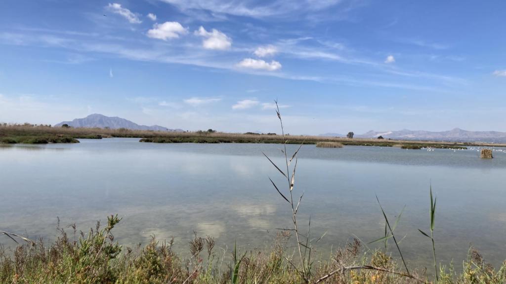 El Parque Natural del Hondo.