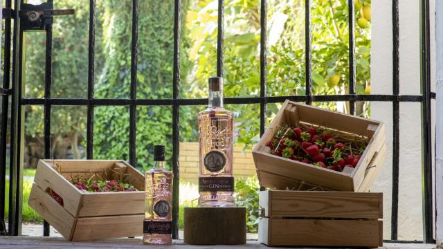 La ginebra de fresa de Puerto de Indias.