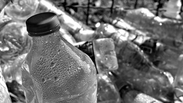 Botellas de plástico