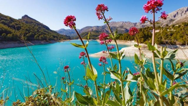 Los entornos del embalse de Guadalest.