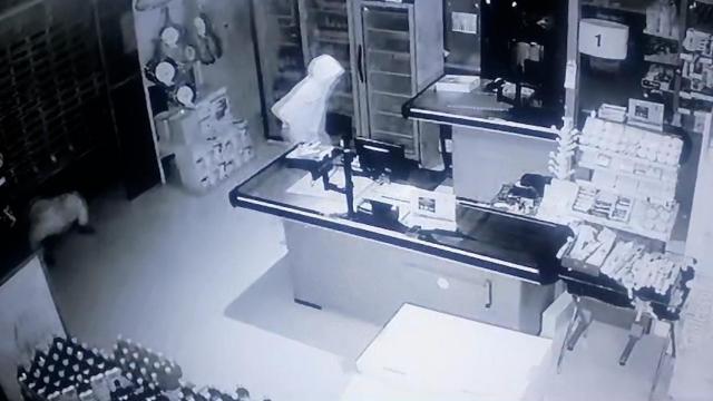 Los dos ladrones, durante la madrigada de este miércoles, en el atraco del Supermercado Guirrete de La Estación en Puerto Lumbreras.