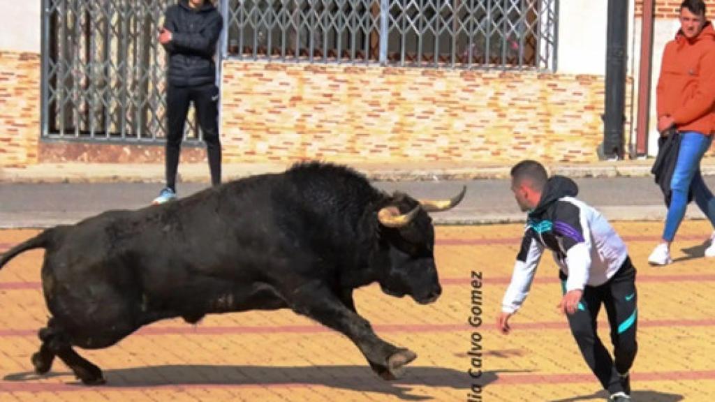 Un joven quiebra a un astado en Siete Iglesias de Trabancos en 2022 (Natalia Calvo