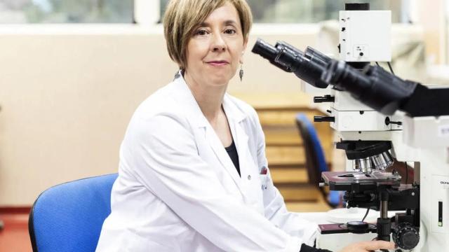 Marisol Soengas, presidenta de Aseica y jefa del grupo de melanoma en el CNIO.
