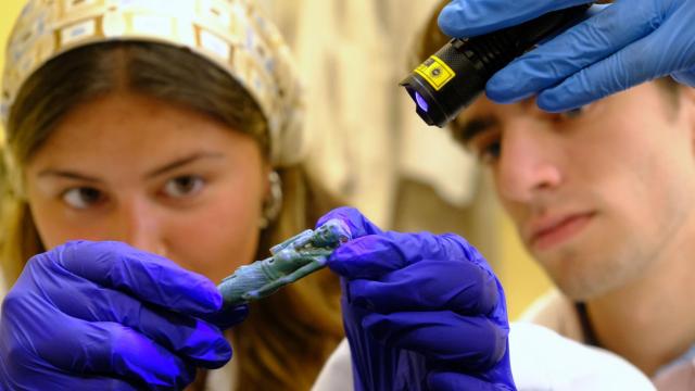 Alumnos de la Universidad de Sevilla intervienen sobre una de estas piezas egipcias.
