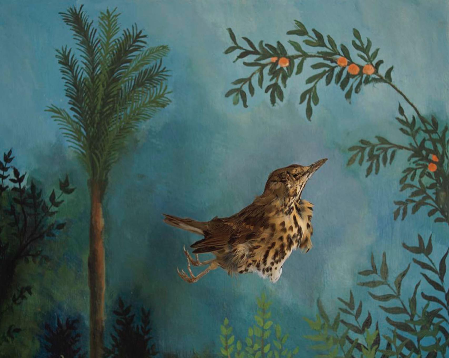 Elena de la Rúa: 'Sin título', de la serie 'El Paraíso Come Carne', 2018-2024 © Elena de la Rúa