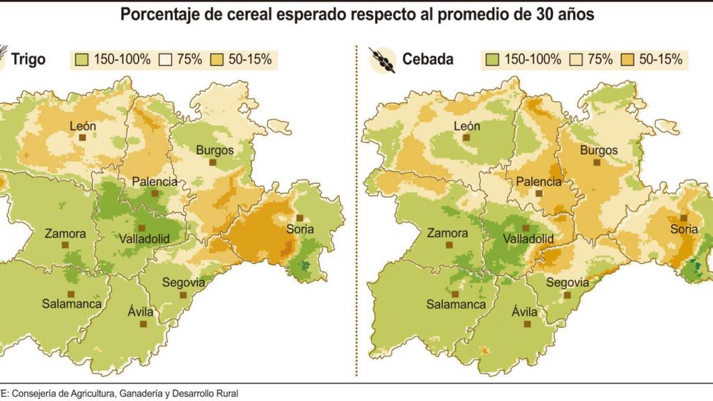 Porcentaje de cereal esperado