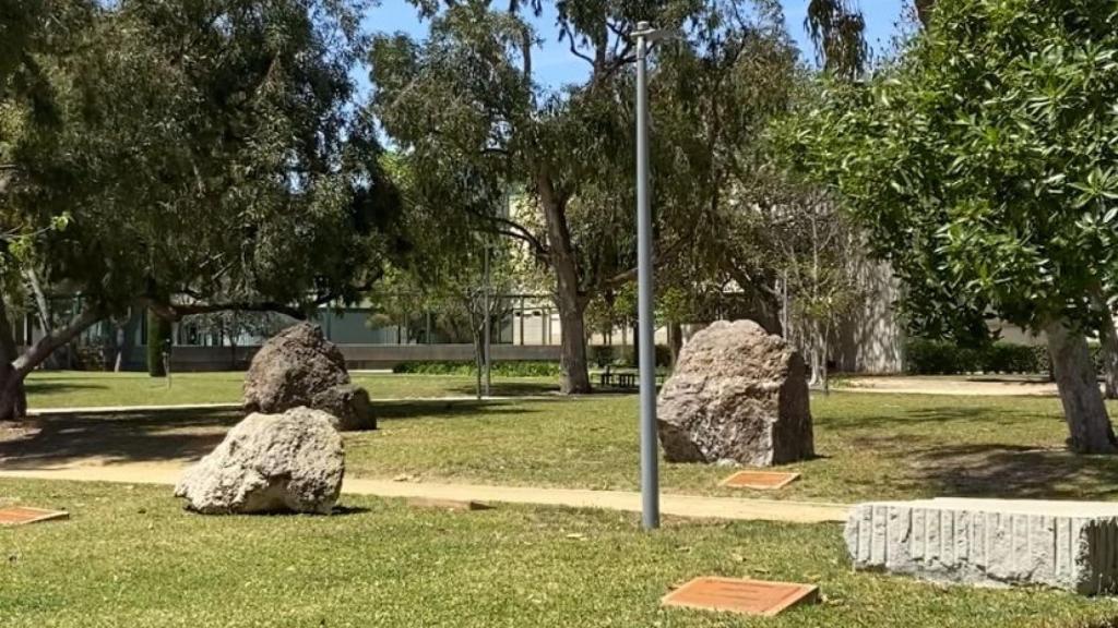 El espacio previsto para la acampada en la UA el próximo miércoles.