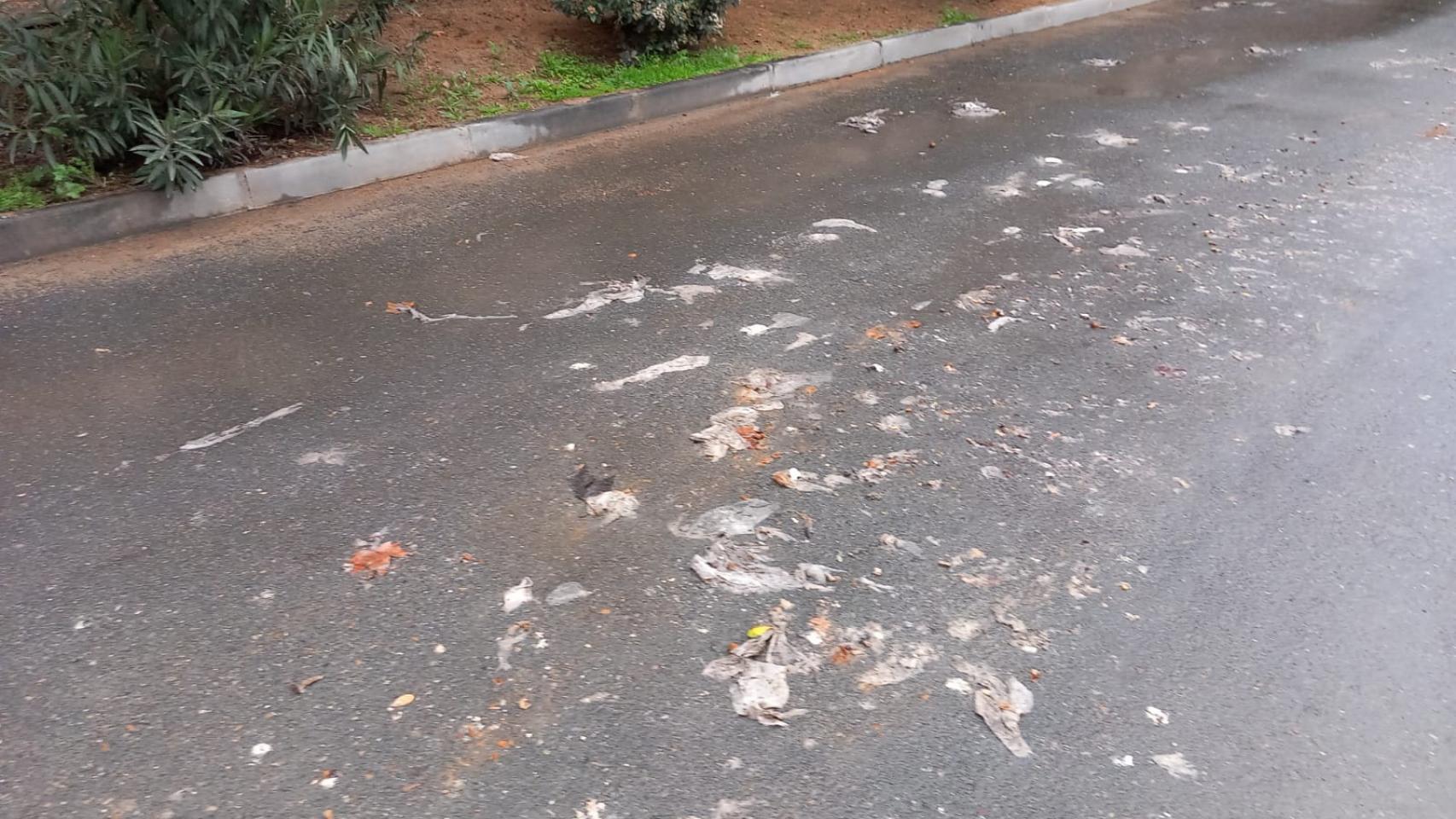 Toallitas usadas y restos de excrementos en el jardín de la residencia 'Barber' de Toledo. Fotografía cedida por los familiares de los residentes.