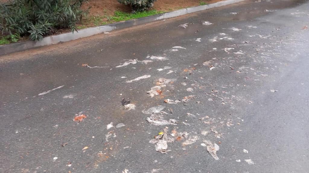 Toallitas usadas y restos de excrementos en el jardín de la residencia 'Barber' de Toledo. Fotografía cedida por los familiares de los residentes.