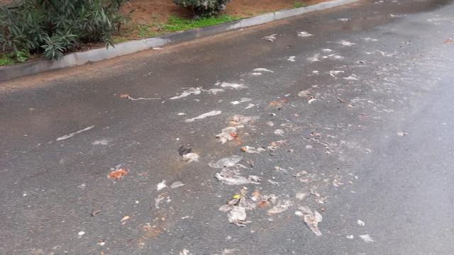 Toallitas usadas y restos de excrementos en el jardín de la residencia 'Barber' de Toledo. Fotografía cedida por los familiares de los residentes.