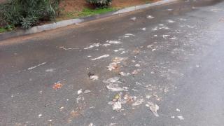 Toallitas usadas y restos de excrementos en el jardín de la residencia 'Barber' de Toledo. Fotografía cedida por los familiares de los residentes.