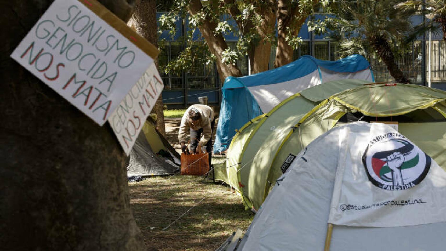 Acampada contra la guerra en Gaza, en el exterior de la Facultad de Filosofía de la Universitat de València (UV).
