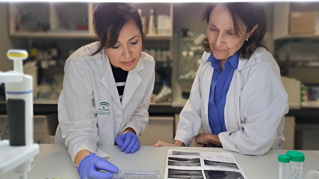 Mª Ángeles Rodríguez-Hernández y Matilde Bustos, dos de las responsables del estudio.