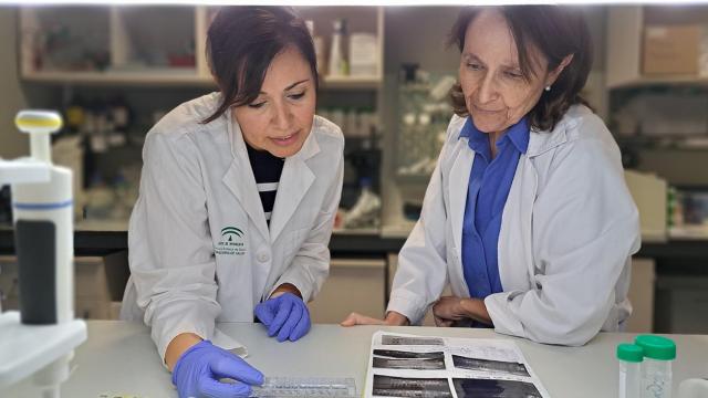 Mª Ángeles Rodríguez-Hernández y Matilde Bustos, dos de las responsables del estudio.