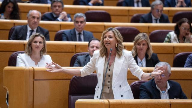 Alicia García, portavoz del PP en el Senado, este martes en la sesión de control.