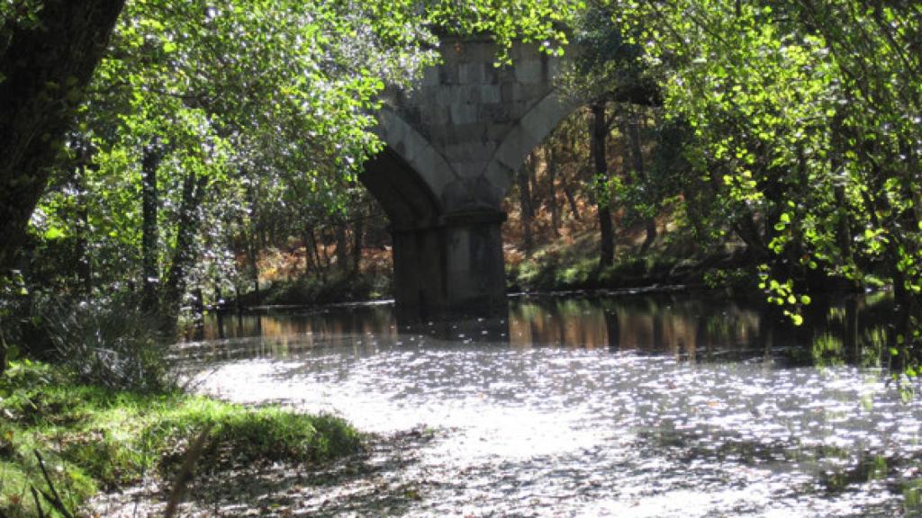 Los ríos, siempre con agua, manantial de vida en El Rebollar